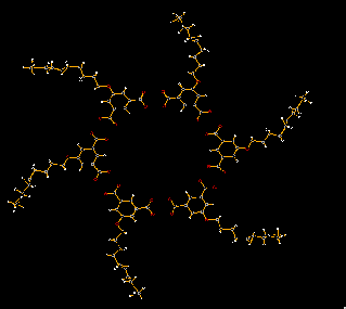 Hydrogen-bonded hexamer from the Andrew D. Hamilton research group.