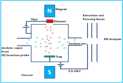 Schematic diagram of El Source