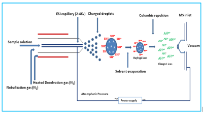 Schematic diagram of Electro spray ionization process