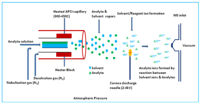 Schematic diagram of APCI process