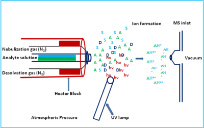 Schematic diagram of APPI source